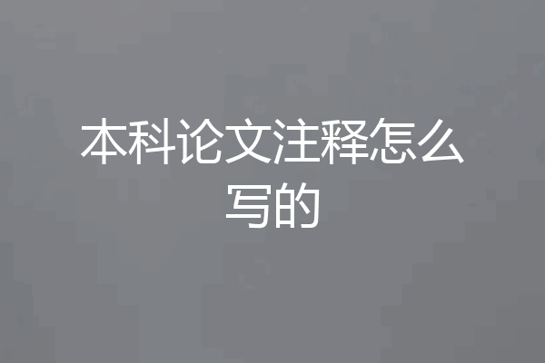 本科论文注释怎么写的