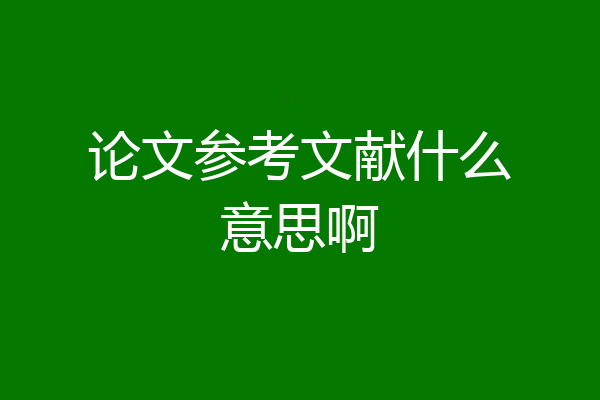 论文参考文献什么意思啊