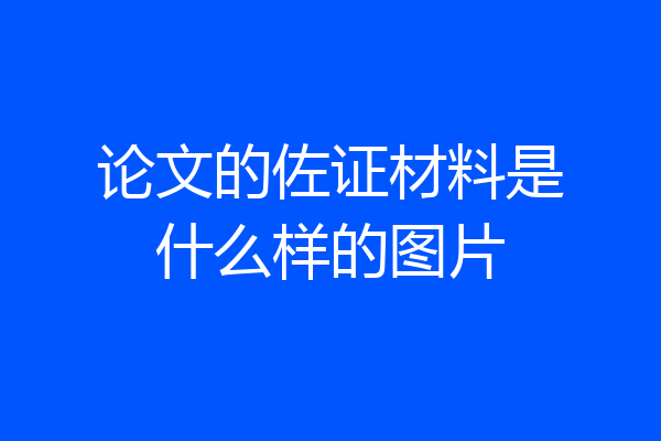 论文的佐证材料是什么样的图片