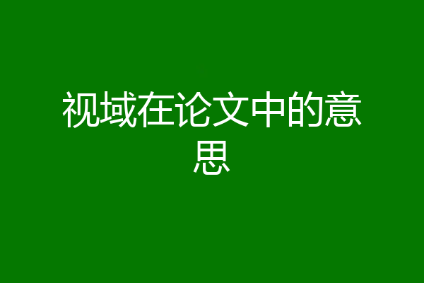 视域在论文中的意思