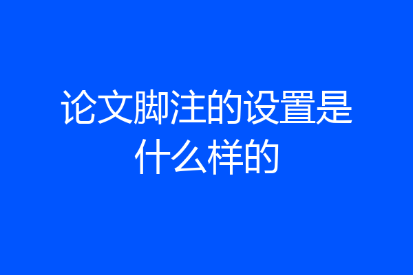 论文脚注的设置是什么样的