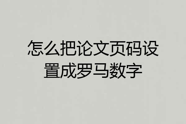 怎么把论文页码设置成罗马数字