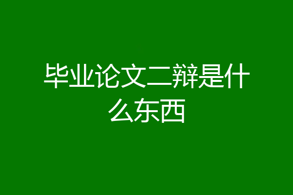 毕业论文二辩是什么东西