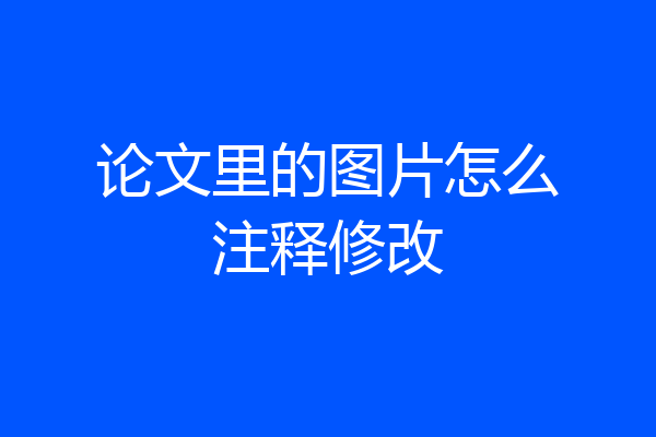 论文里的图片怎么注释修改