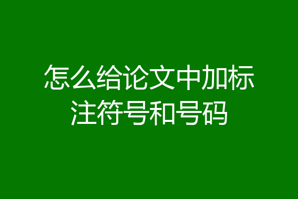怎么给论文中加标注符号和号码