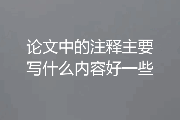 论文中的注释主要写什么内容好一些