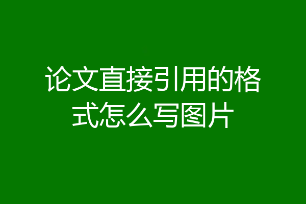 论文直接引用的格式怎么写图片