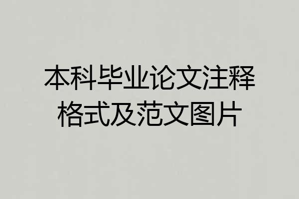本科毕业论文注释格式及范文图片