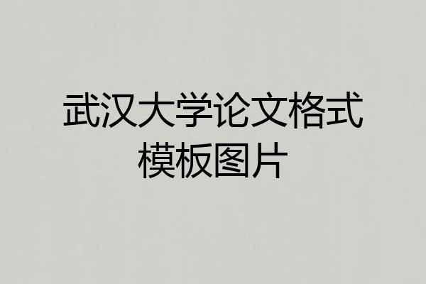 武汉大学论文格式模板图片