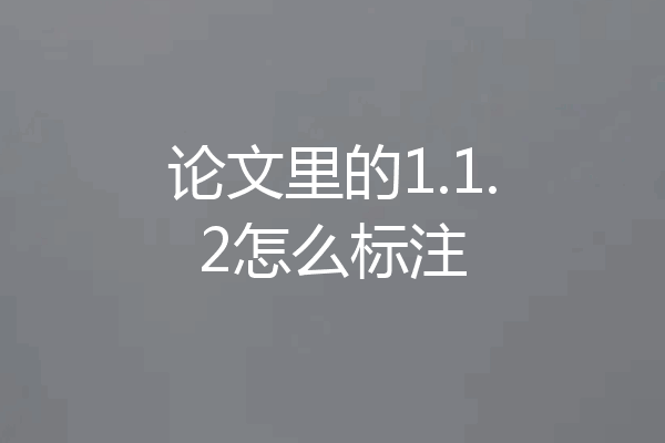 论文里的1.1.2怎么标注