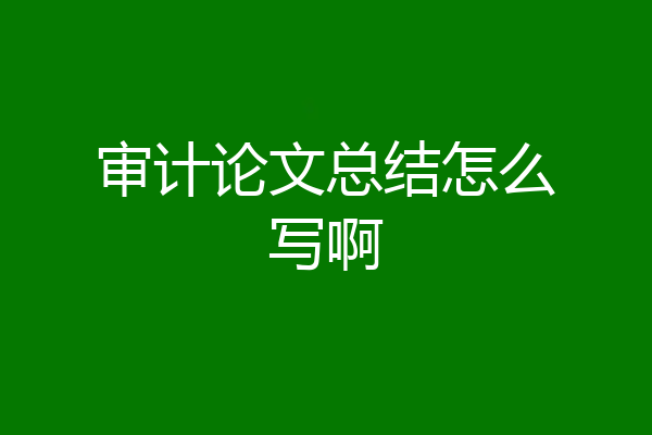 审计论文总结怎么写啊