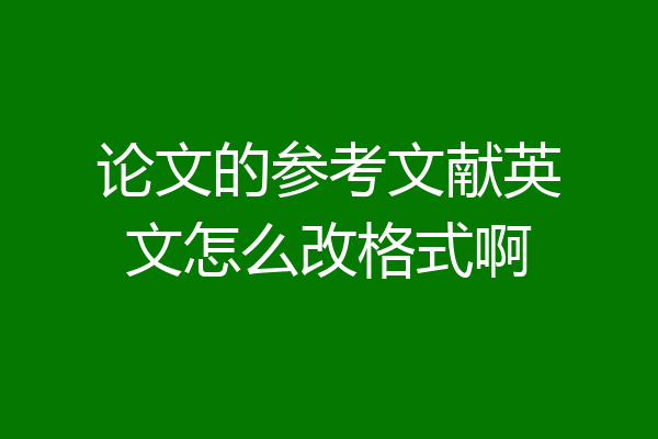 论文的参考文献英文怎么改格式啊