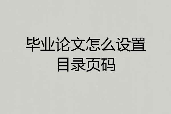 毕业论文怎么设置目录页码
