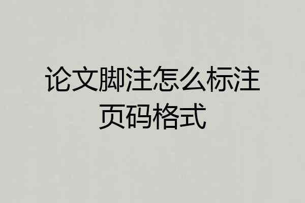 论文脚注怎么标注页码格式