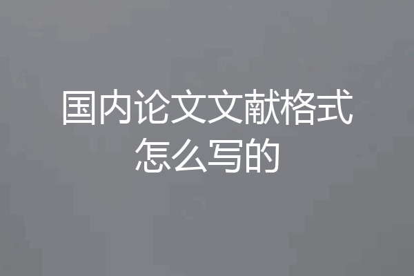 国内论文文献格式怎么写的