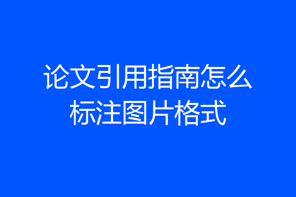 论文引用指南怎么标注图片格式