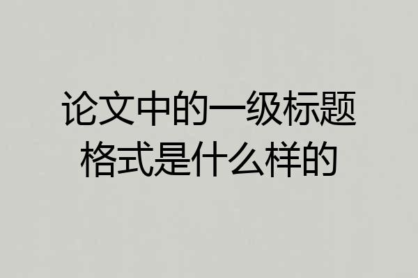 论文中的一级标题格式是什么样的