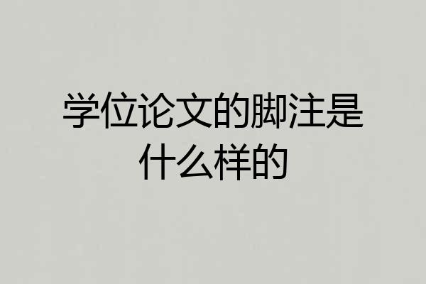 学位论文的脚注是什么样的