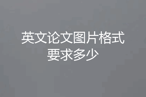 英文论文图片格式要求多少