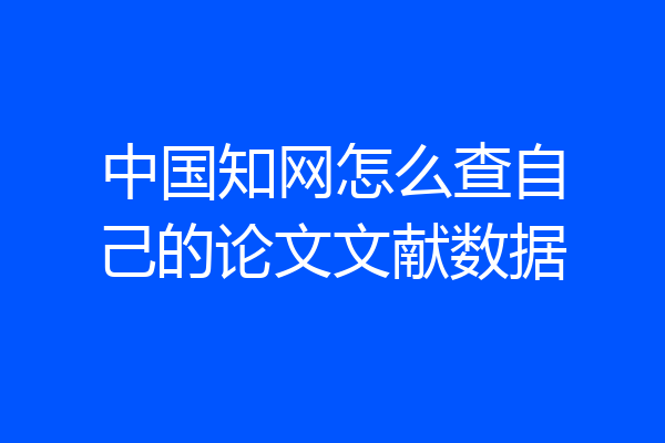 中国知网怎么查自己的论文文献数据