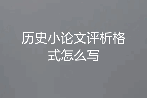 历史小论文评析格式怎么写