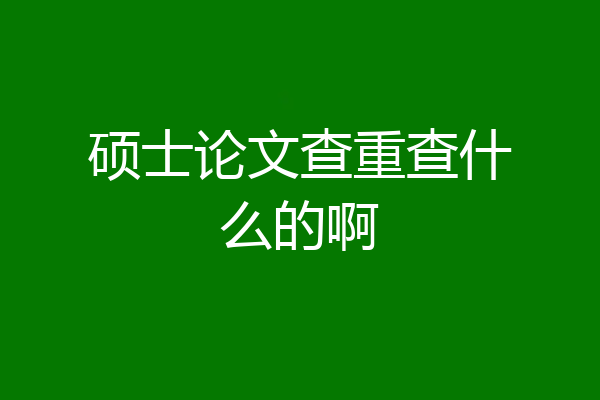 硕士论文查重查什么的啊