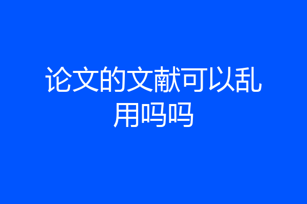 论文的文献可以乱用吗吗