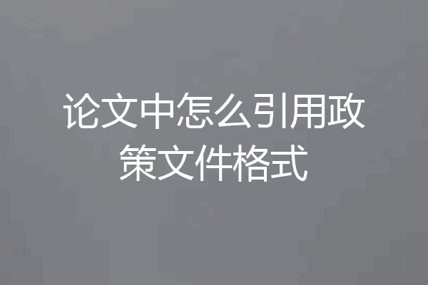 论文中怎么引用政策文件格式