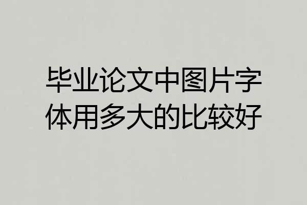 毕业论文中图片字体用多大的比较好
