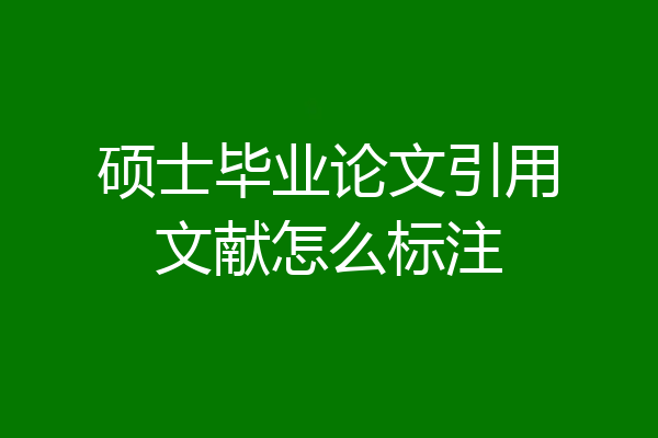 硕士毕业论文引用文献怎么标注