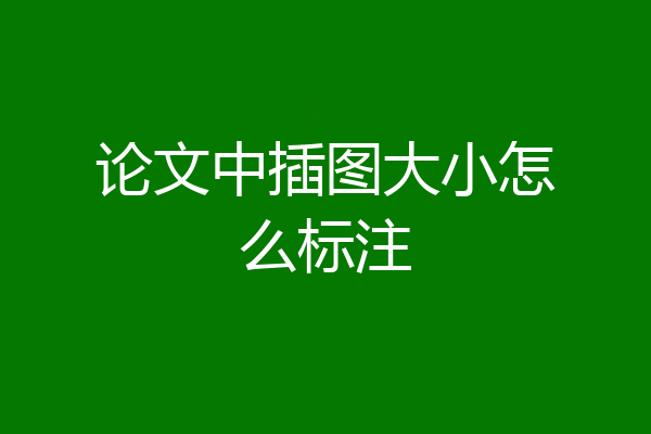 论文中插图大小怎么标注