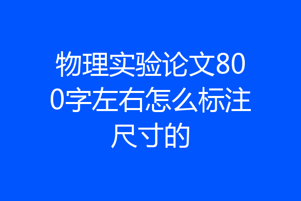 物理实验论文800字左右怎么标注尺寸的