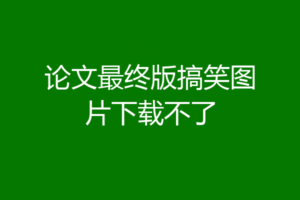 论文最终版搞笑图片下载不了