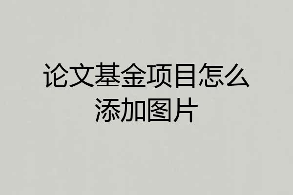 论文基金项目怎么添加图片