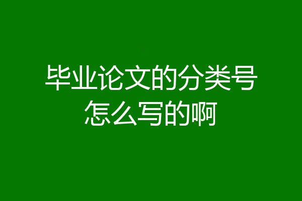 毕业论文的分类号怎么写的啊