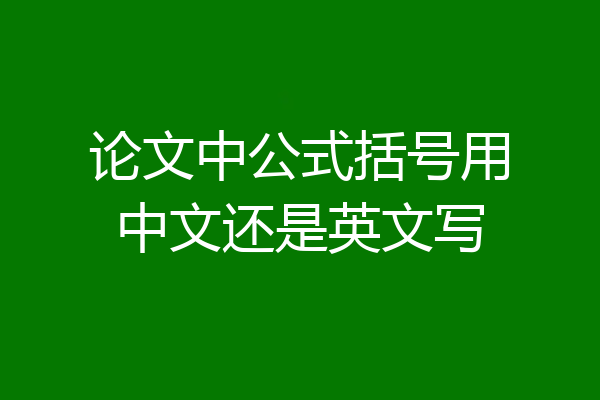 论文中公式括号用中文还是英文写