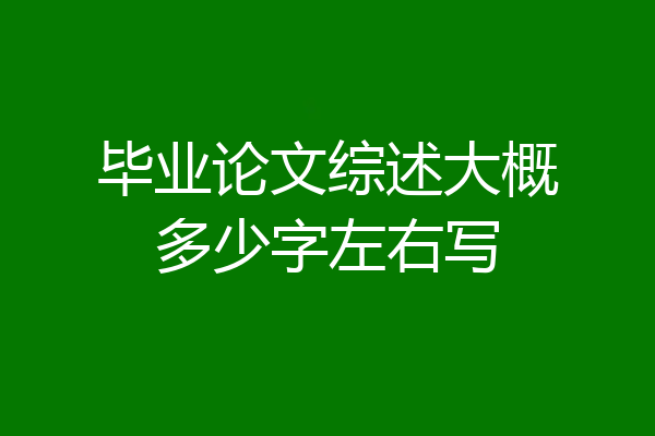 毕业论文综述大概多少字左右写