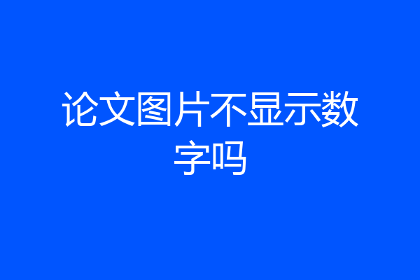 论文图片不显示数字吗