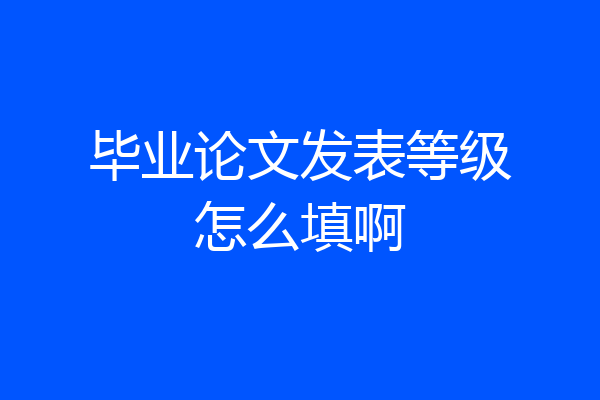 毕业论文发表等级怎么填啊