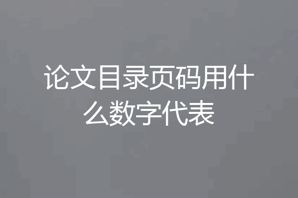 论文目录页码用什么数字代表
