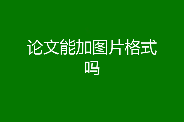 论文能加图片格式吗