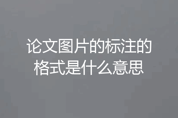论文图片的标注的格式是什么意思