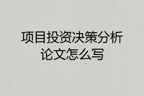 项目投资决策分析论文怎么写