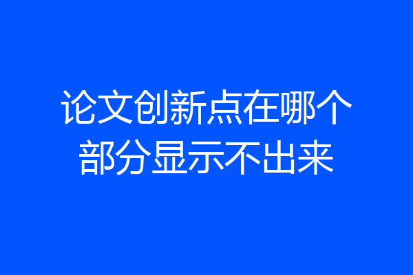 论文创新点在哪个部分显示不出来
