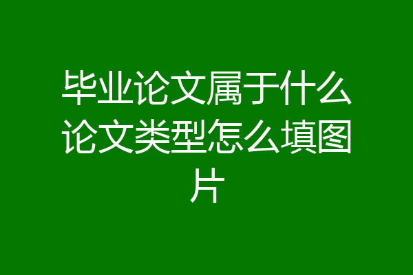毕业论文属于什么论文类型怎么填图片