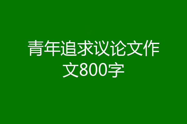 青年追求议论文作文800字