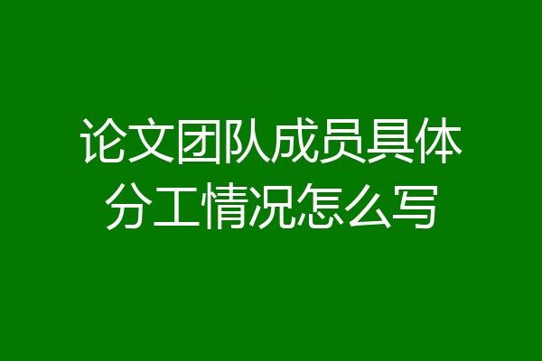 论文团队成员具体分工情况怎么写