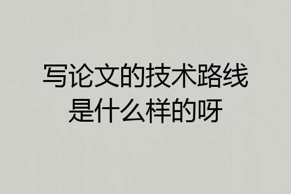 写论文的技术路线是什么样的呀