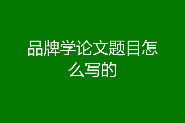 品牌学论文题目怎么写的