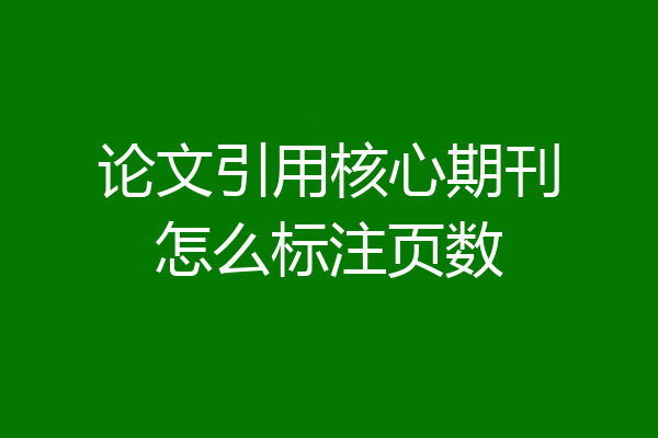论文引用核心期刊怎么标注页数